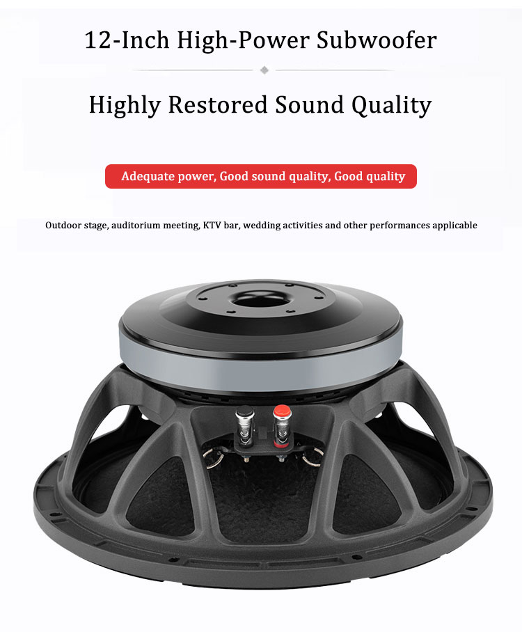 고출력 우퍼 스피커, 고품질 12 인치 - Quality Outdoor Power 리뷰 및 가격